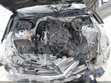 Ford Mustang Ecoboost 1FA6P8THXK5193906 снимка