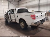 Ford F-150 Xlt 1FTFW1ET4DFA39212 снимка