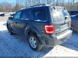 Ford Escape Xlt 1FMCU93769KD00878 снимка