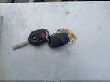 Miniaturka zdjęcia 11