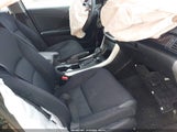 Miniaturka zdjęcia 5