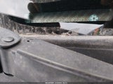Honda Odyssey Lx 5FNRL5H28DB042201 снимка