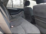 Miniaturka zdjęcia 8