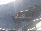 Nissan Murano Sl JN8AZ1MW1BW184755 photo