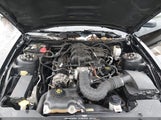 Ford Mustang V6 1ZVBP8EN1A5163071 снимка