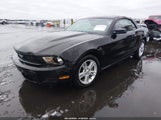 Ford Mustang V6 1ZVBP8EN1A5163071 снимка