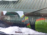 Miniaturka zdjęcia 9