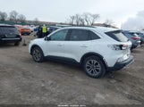 Miniaturka zdjęcia 3