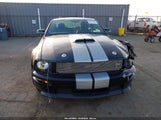 Ford Mustang Gt Deluxe/Gt Premium 1ZVHT82H575305189 fotografie