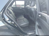 Miniaturka zdjęcia 8