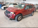 Ford Escape Xlt 1FMCU03118KC99449 снимка