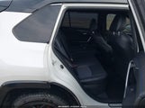 Miniaturka zdjęcia 8