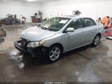Toyota Corolla Le 2T1BU4EE6DC011900 photo