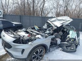 Ford Escape Se 1FMCU9G68MUA33385 снимка