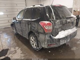 Miniaturka zdjęcia 3