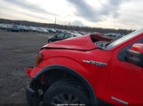 Ford F-150 Fx4 1FTFW1ET8BFB08691 снимка