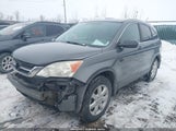 Honda Cr-V Se 5J6RE4H40BL036869 снимка