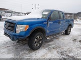 Ford F-150 Stx 1FTFX1EF2DFB74101 снимка