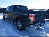 Ford F-150 Fx4/Harley-Davidson/King Ranch/Lariat/Platinum/Xl/Xlt 1FTFW1EV4AFC89885 fotografie