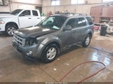 Ford Escape Xlt 1FMCU9DG3AKA70476 снимка