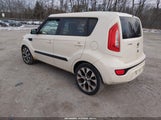 Miniaturka zdjęcia 3