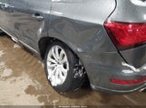 Miniaturka zdjęcia 6