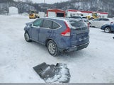 Miniaturka zdjęcia 3