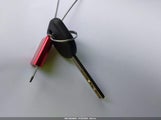 Miniaturka zdjęcia 11