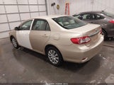Toyota Corolla Le 5YFBU4EE5DP213773 fotografie