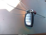 Miniaturka zdjęcia 11