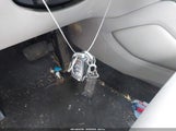 Miniaturka zdjęcia 11