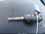 Miniaturka zdjęcia 11