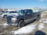 Ford F-150 Stx/Xl/Xlt 1FTRF14W04NB59944 fotografie
