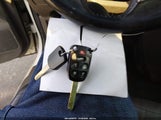 Miniaturka zdjęcia 11