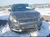 Ford Escape Titanium 1FMCU0J92EUD91761 снимка