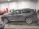 Toyota Rav4 Xle JTMP1RFV4LJ028952 снимка