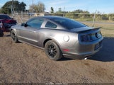 Ford Mustang V6 1ZVBP8AM5E5326081 снимка
