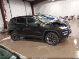 Jeep Compass Trailhawk 4X4 3C4NJDDB6KT649832 снимка