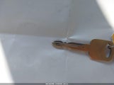 Miniaturka zdjęcia 11