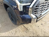 Toyota Tundra Crewmax Limited/Crewmax Platinum/Crewmax 5TFWA5EC7RX029488 fotografie