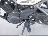 Miniaturka zdjęcia 9