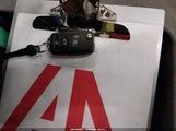 Miniaturka zdjęcia 11