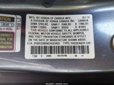 Miniaturka zdjęcia 9