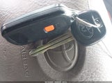 Miniaturka zdjęcia 11