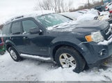 Ford Escape Hybrid Limited 1FMCU5K38AKC06996 fotografie