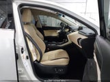 Miniaturka zdjęcia 5
