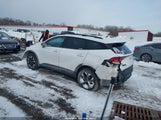 Miniaturka zdjęcia 3