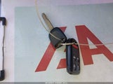 Miniaturka zdjęcia 11