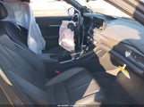 Miniaturka zdjęcia 5