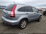 Honda Cr-V Ex-L JHLRE48788C048537 fotografie